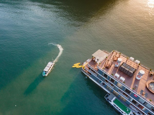 Quelles croisières proposent des excursions pour découvrir les forêts de mangroves en Asie du Sud-Est?